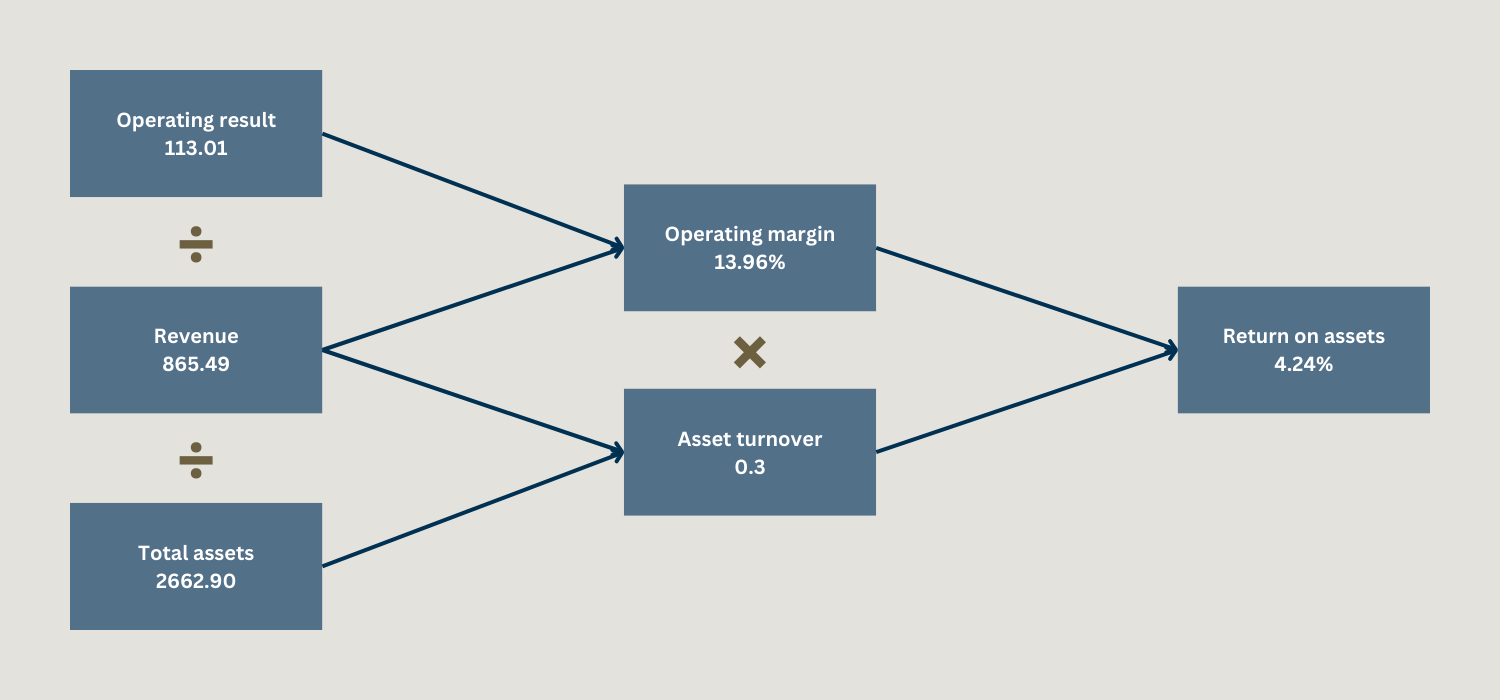 Analyze Roa's DuPont analysis in the Financial Risk Report (FRR)